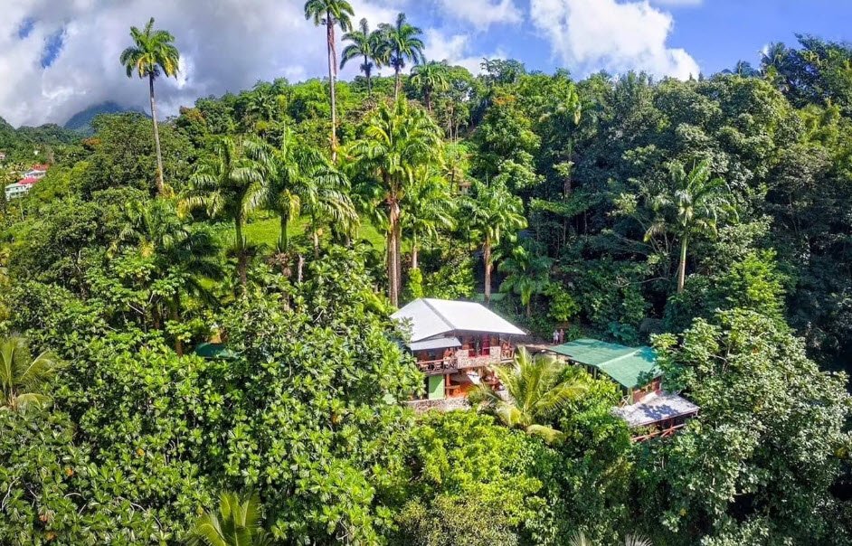 Titou Gorge, Near Laudat, Roseau Valley, Dominica
